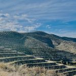 Vinitaly 2026: Çobo Winery, l’Albania del vino che punta su vitigni autoctoni e turismo esperienziale